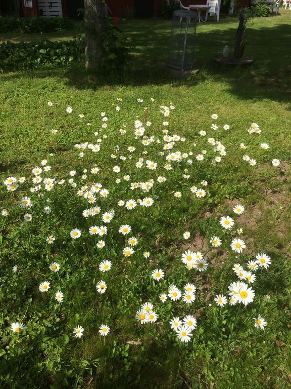 Swedish Idyll Hotel Årstad Eksteriør billede